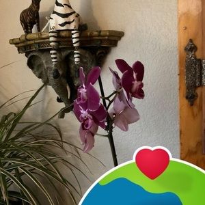 Meet your Posher, Marie